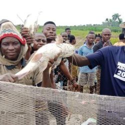 Akata-Fishing-Festival-Katsina-Ala-2