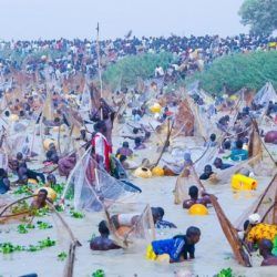 argungu-fishing-festival-kebbi-nigeria