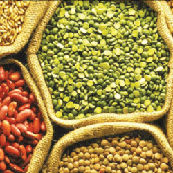 LIST OF SEED ENTREPRENEURS IN NIGERIA image-512