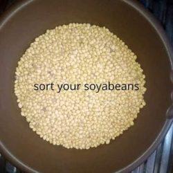 HOW-TO-MAKE-SOYA-BEAN-MILK-2-1