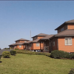 obudu-mountain-resort-cattle-ranch-cross-river-nigeria-3-1