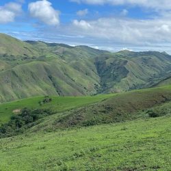 obudu-mountain-resort-cattle-ranch-cross-river-nigeria-335