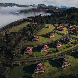 obudu-mountain-resort-cattle-ranch-cross-river-nigeria-37