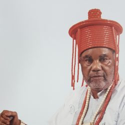 H.-M.-Prof.-Anele-Uzondu-Nwokoma