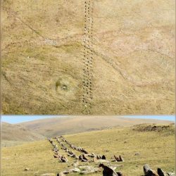 Hartashen Megalithic Avenue Armenia