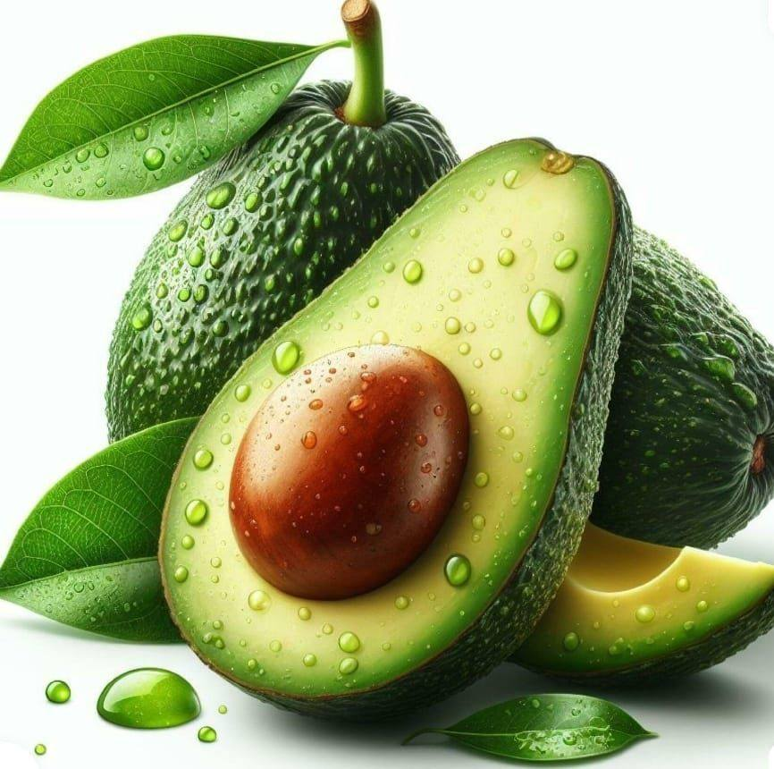 Avocado