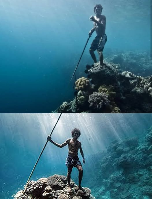 The Bajau: Sea Nomads with Extraordinary Diving Abilities