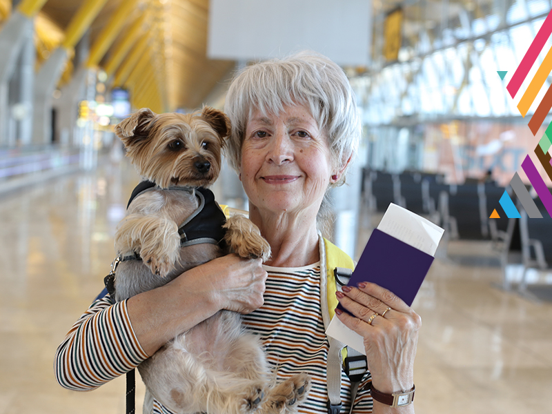 Israeli Pet Import: Complete Guide with Forms, Rules & Approval