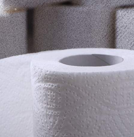 Toilet Paper: The Hidden Danger of “Forever Chemicals” it Contains