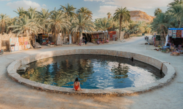 Egypt’s Five Remarkable Oases: Farafra, Bahariya, Dakhla, Kharga, and Siwa: A Closer Look