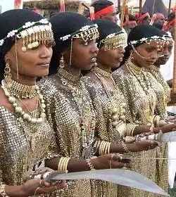 Afar People: Resilience, History, Culture, and Struggles for Autonomy