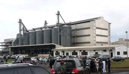 Taraku Mills: Basic Details. The Need for Revival
