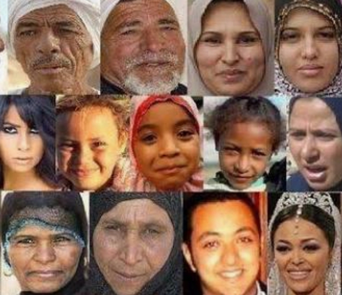 Ancient Egyptian Language: Classification, Geographic Distribution, Syntax, Vocabulary 