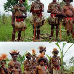 Papua New Guinea Districts with the Largest Populations Papua New Guinea Districts with the Largest Populations