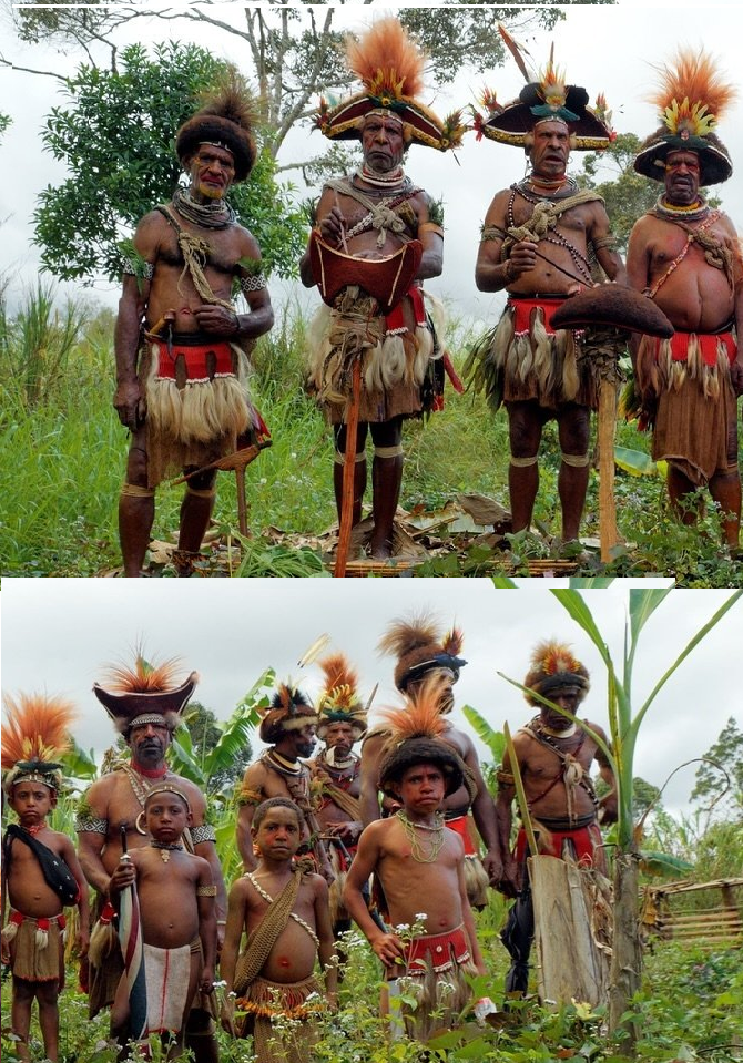 Papua New Guinea Districts with the Largest Populations