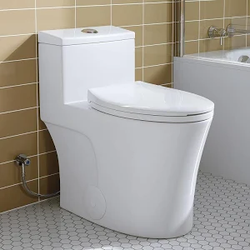 Toilets, Homes and Health: Nigeria's Sanitation Data Toilets, Homes and Health: Nigeria's Sanitation Data